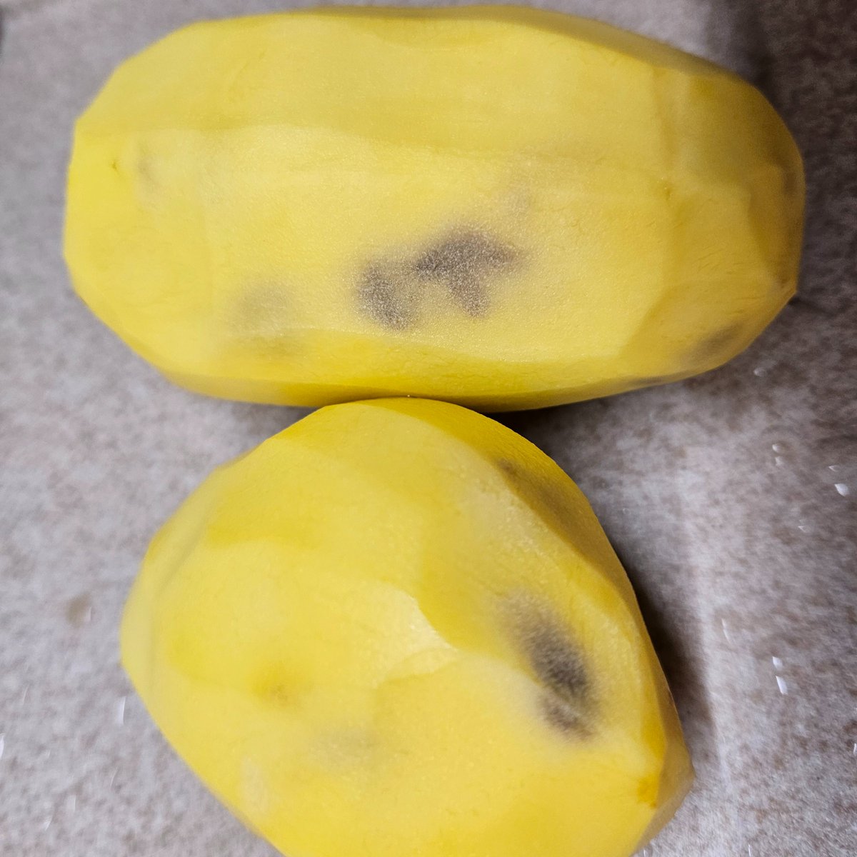 Sarma Freiberga tweet media