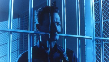 Stephen Gibbons tweet media