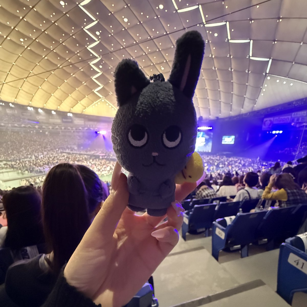 dd5kuma's tweet photo. 프싯 자리 넘잘보여서 좋았구
중콘 원래 4층이었는데 갑자기 티켓부스에서 1층 정중앙으로 바꿔주시는 럭키한 일이 일어났구
진짜 모든 날이 너무 멋졌지만... 막콘은 대박이었다 진짜 많이 성장했구나
라이브 진짜 단단함이 너무 잘느껴져
도쿄돔 오길 잘했다
원빈 좋아하길 잘했다
그리고 내생일😳 https://t.co/doKFMyhFNS