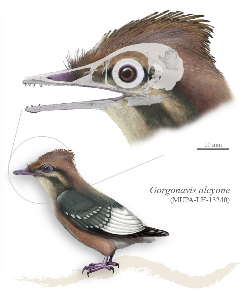 Carlos de Miguel tweet media