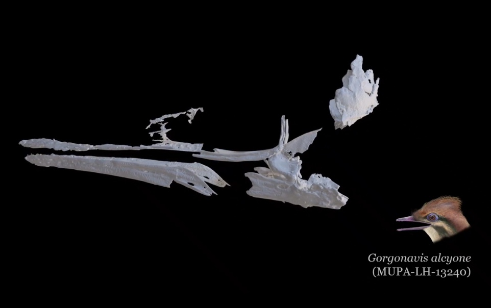 Carlos de Miguel tweet media