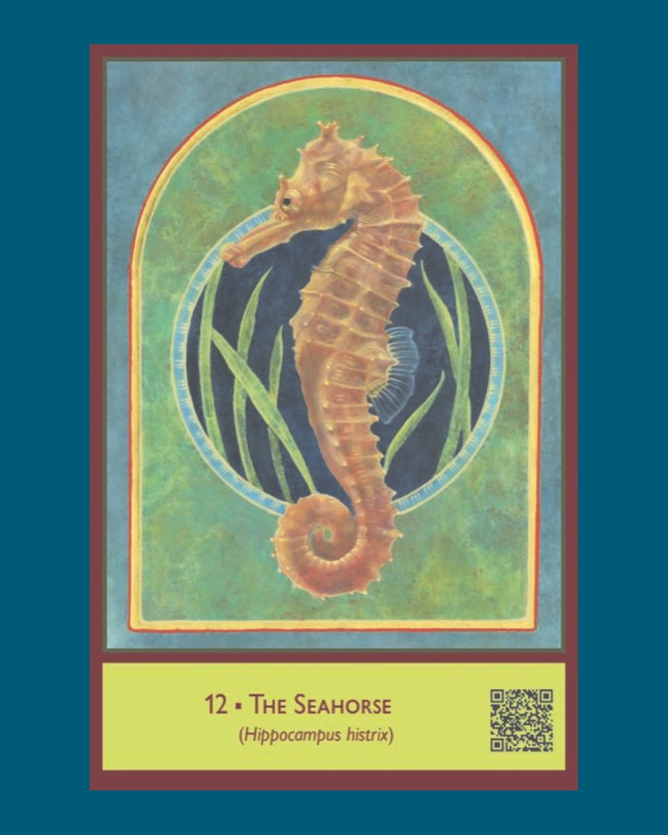 Wildlife Justice Commission tweet media