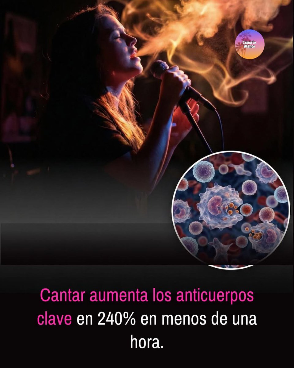 👉🏻 Una nueva investigación revela que el acto del canto puede dispararse a los anticuerpos inmunológicos hasta un 240% en solo una hora.

Estudios científicos recientes revelan que el canto es una potencia biológica que fortalece significativamente el sistema inmunológico.