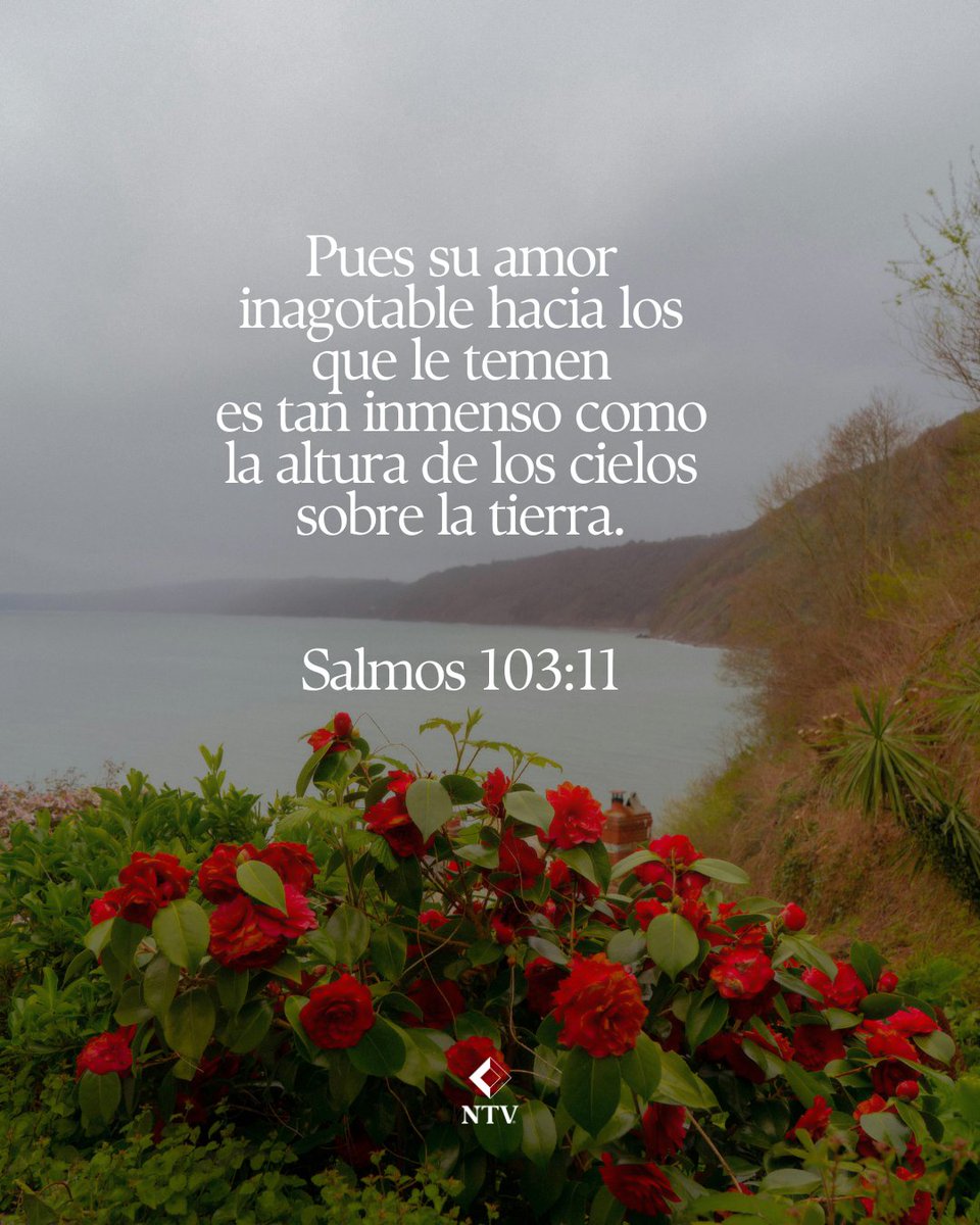 La Biblia declara que el amor de Dios es inmenso y lleno de misericordia. Este versículo bíblico nos recuerda que su amor supera nuestras fallas.

#AmordeDios #Biblia #NTV #versiculos #EsperanzaCristiana
