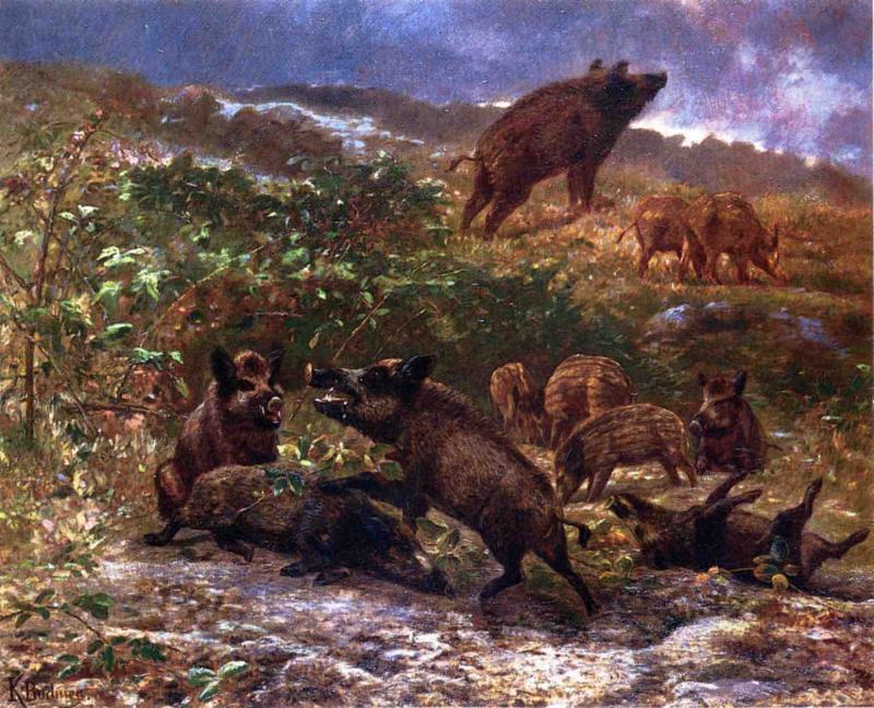 Karl Bodmer tweet media
