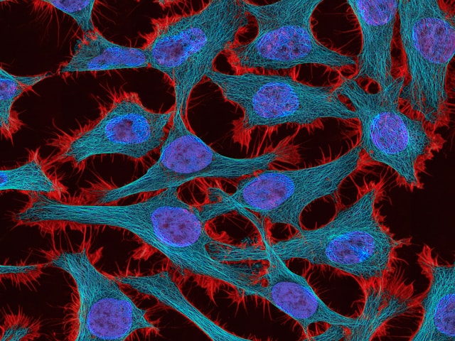 Biochemistry and Cell Biology tweet media