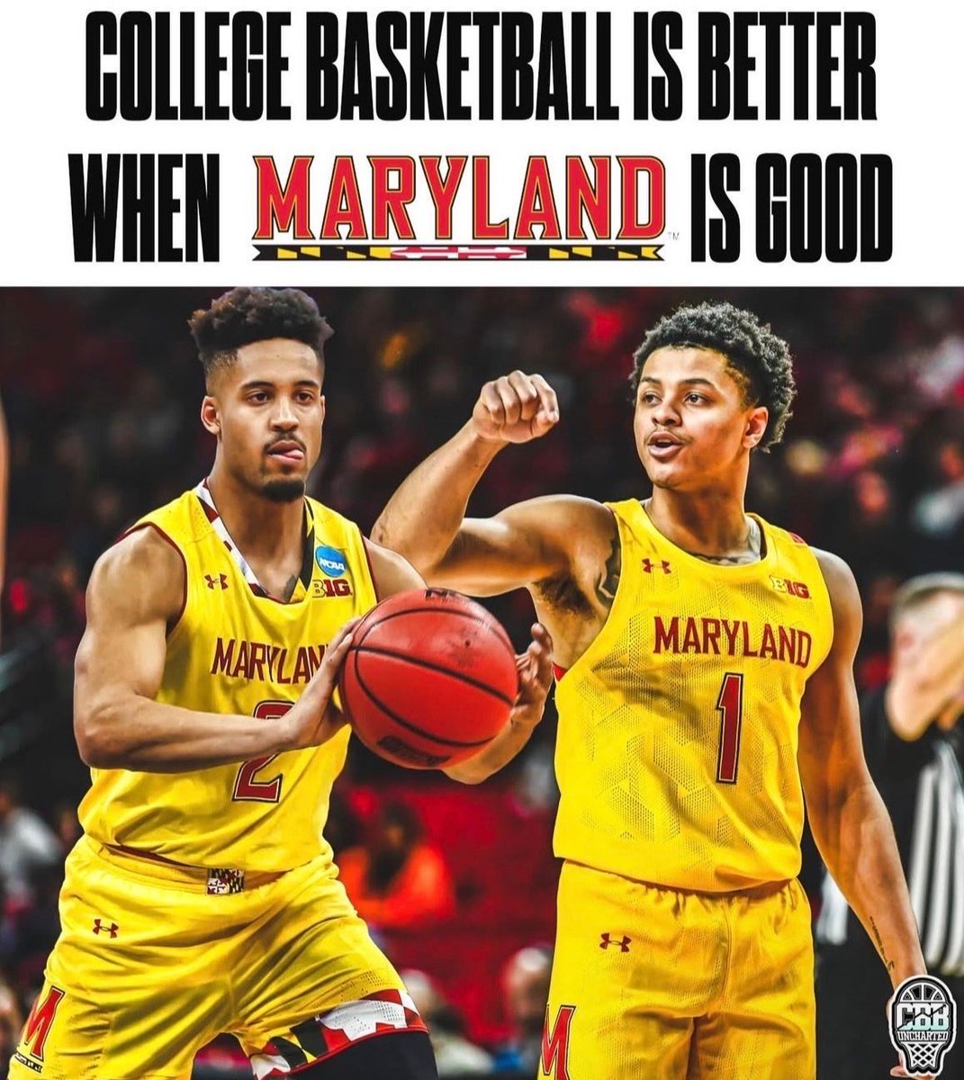 Zero lies detected 🐢