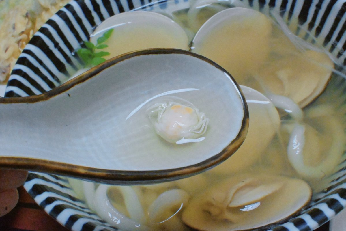 こ、こいつ…！ この間ハマグリ食べた時に居たやつだーーーーーー🦀🦀🦀🦀