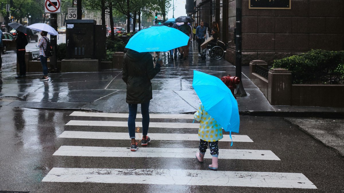 Allergy Force tweet media