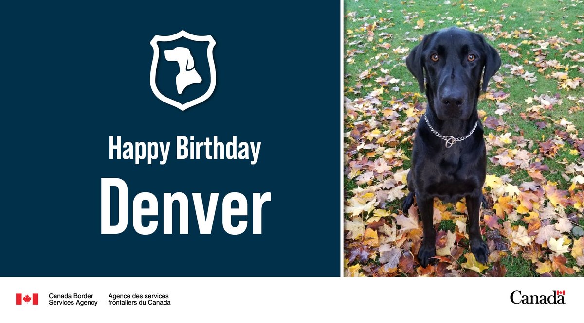 Border Services NOR tweet media