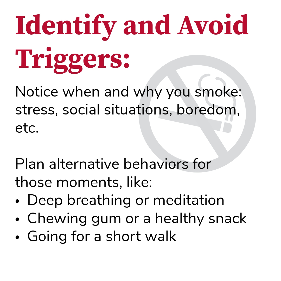 Ohio State Buckeye Wellness tweet media