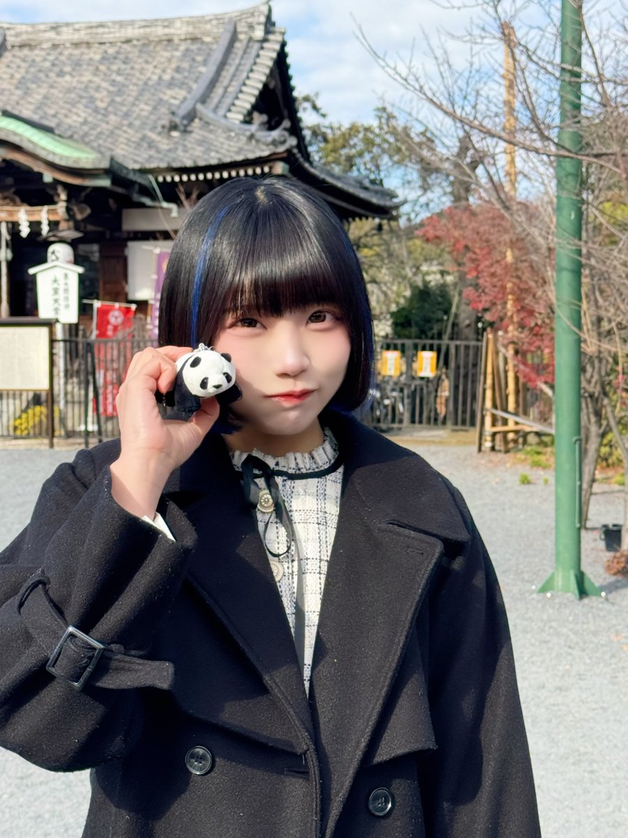 おはようっ🐼 パンダみたいに愛されたい♡