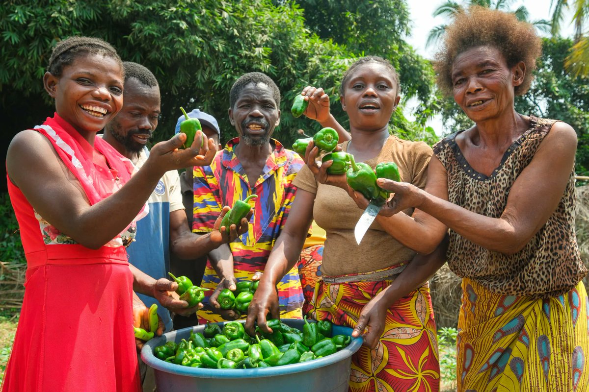 CIFOR-ICRAF West and Central Africa tweet media