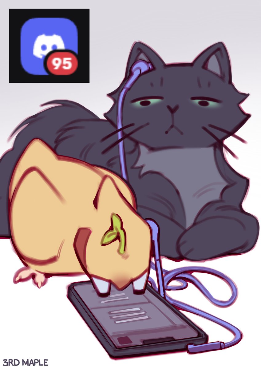 3RD MAPLE tweet media