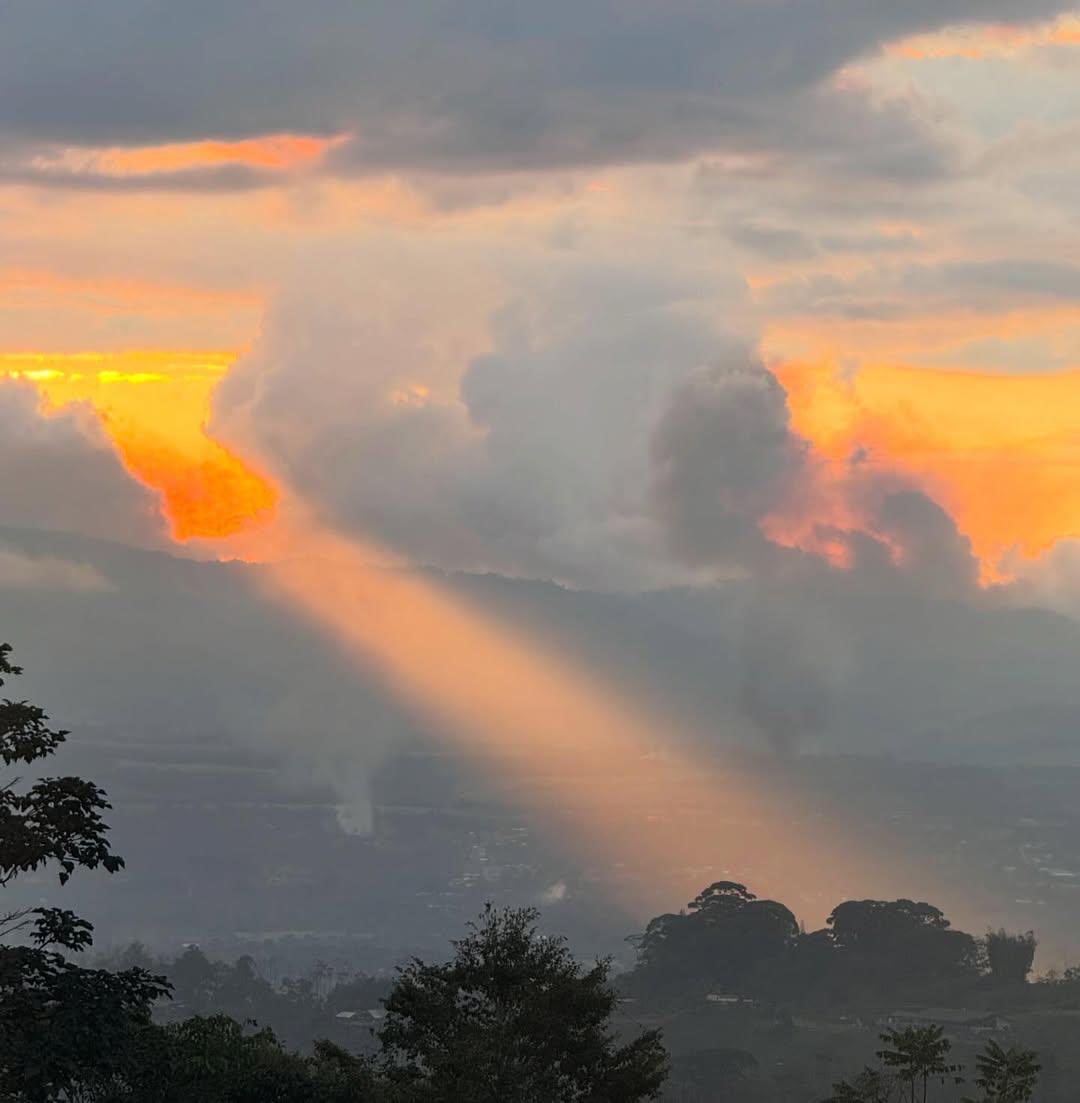 jaly Souza | KONA 🪶❤️ tweet media