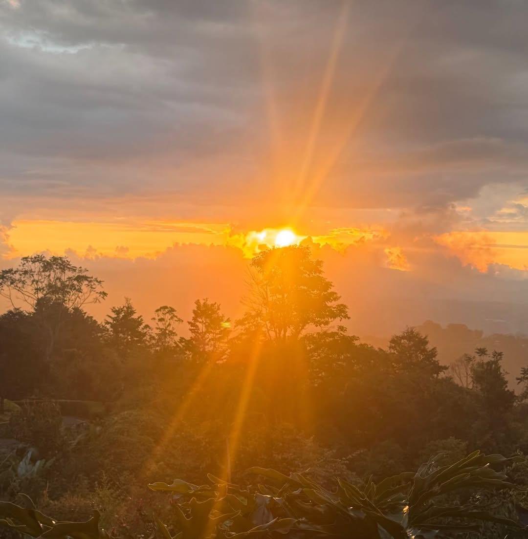 jaly Souza | KONA 🪶❤️ tweet media