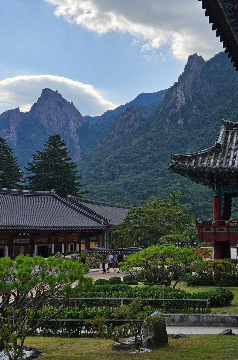 Japan 🇯🇵                            South Korea 🇰🇷