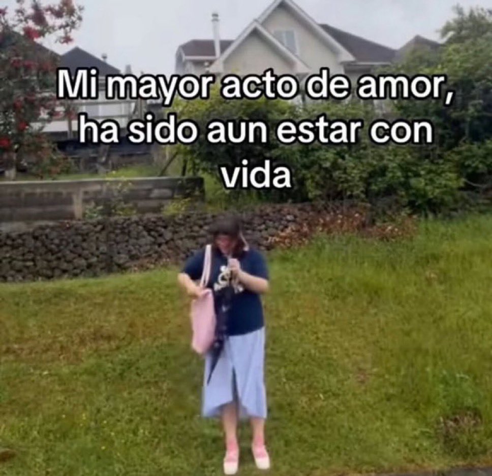 Xd