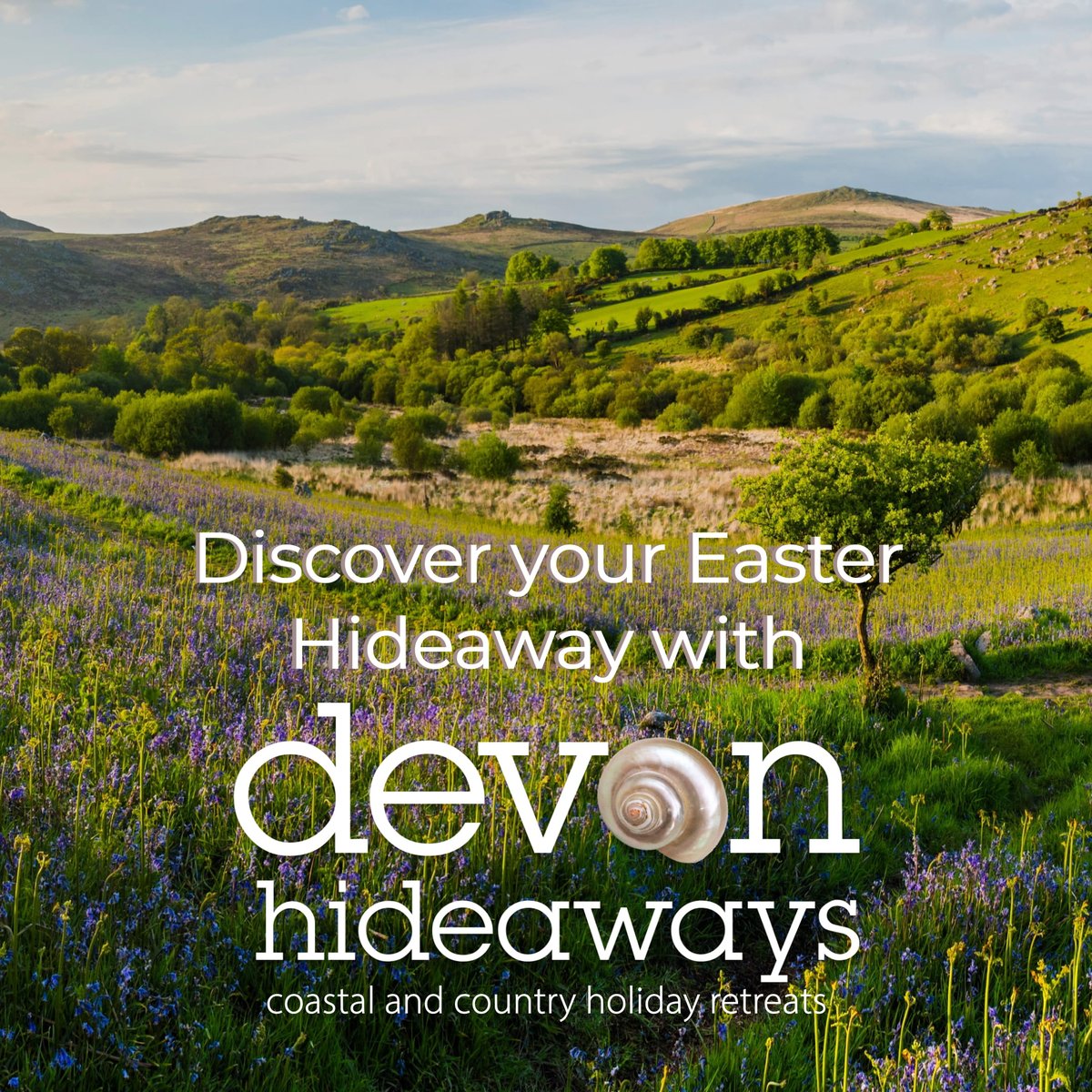 Visit Devon tweet media