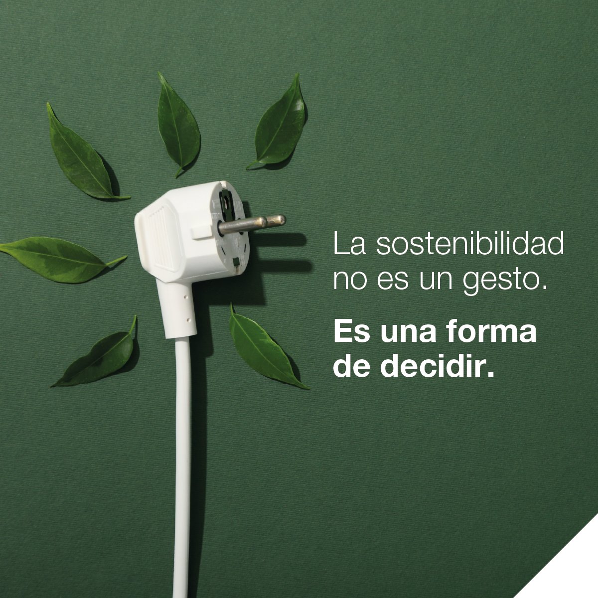 grenke_es tweet media