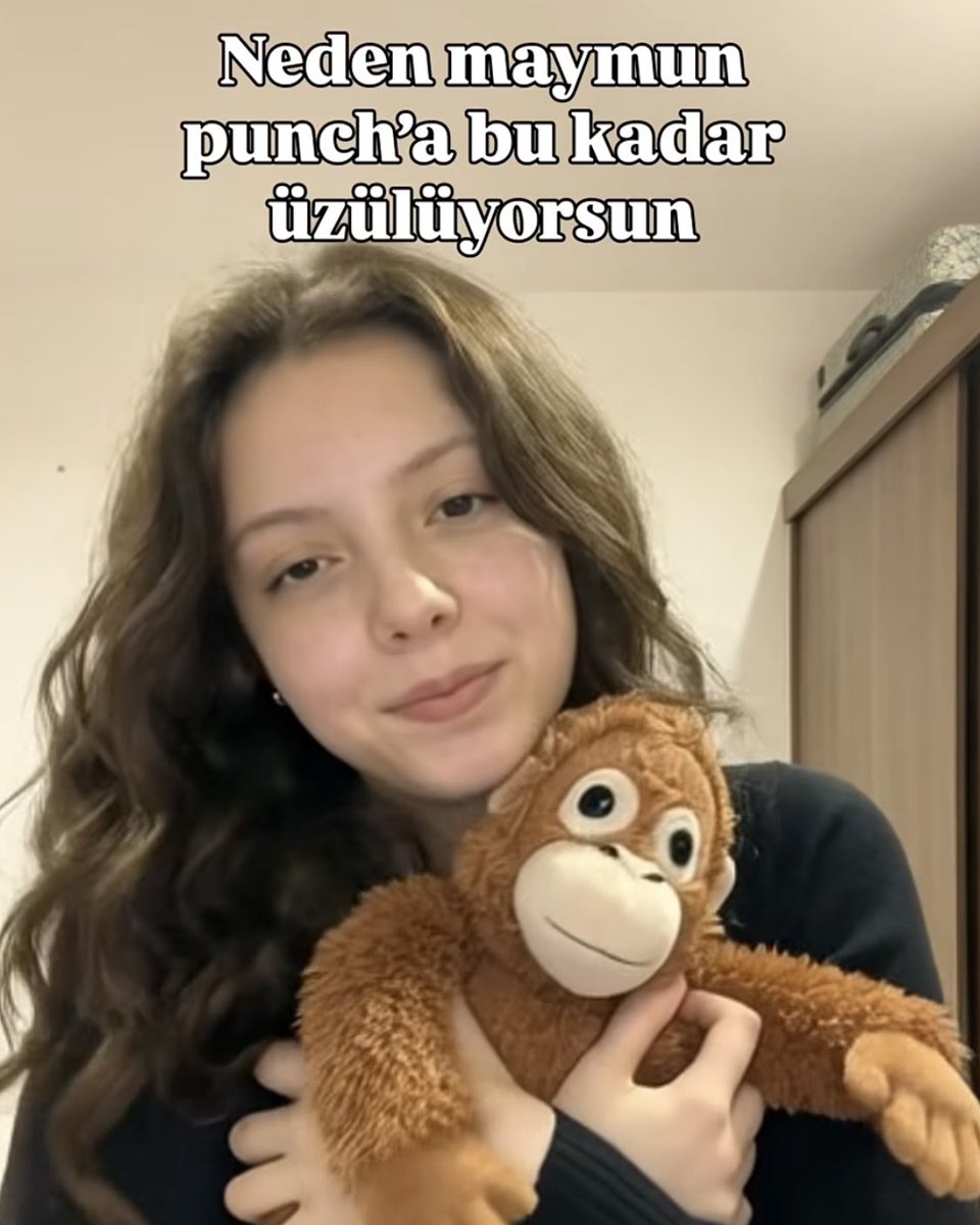 Bee Haber tweet media