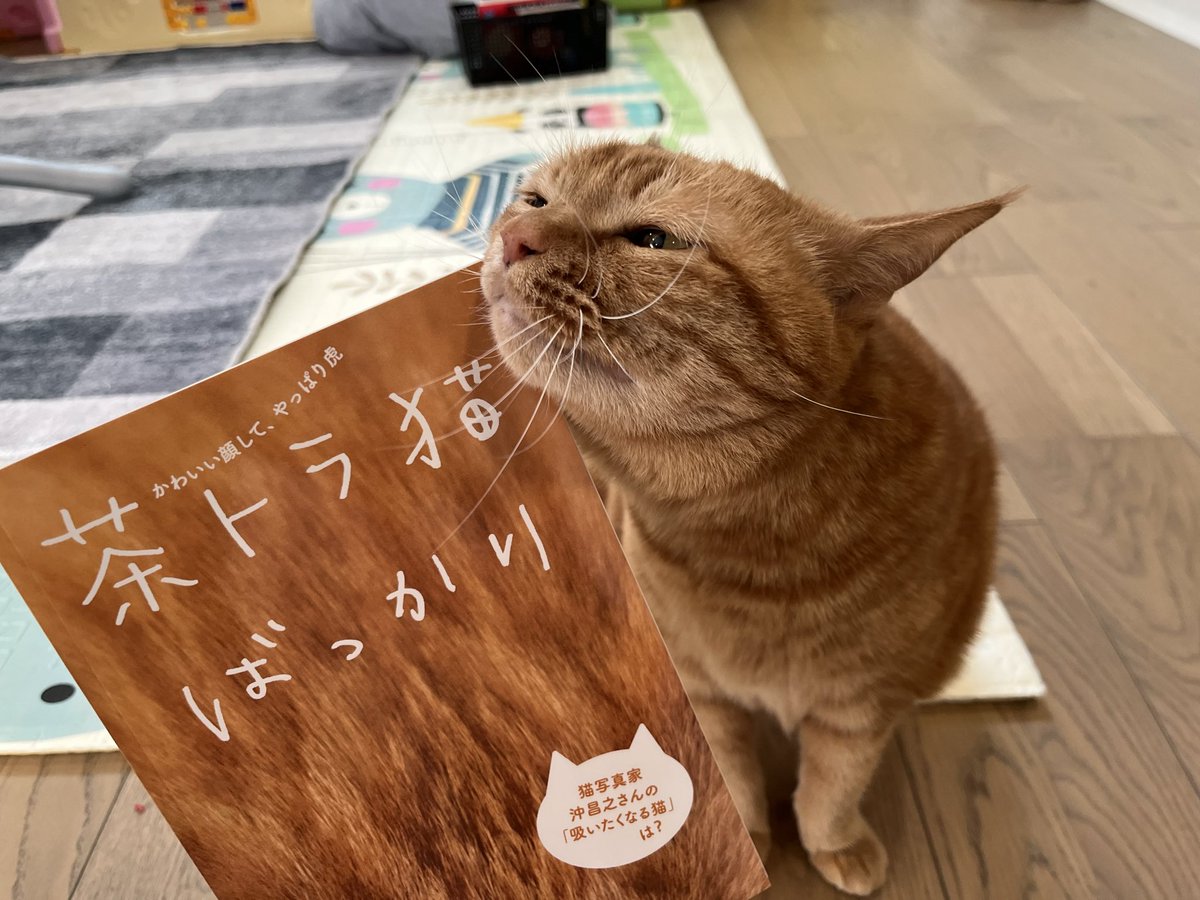 toneko_maple's tweet photo. 載ったよ〜 https://t.co/ZWZQIsfqjs