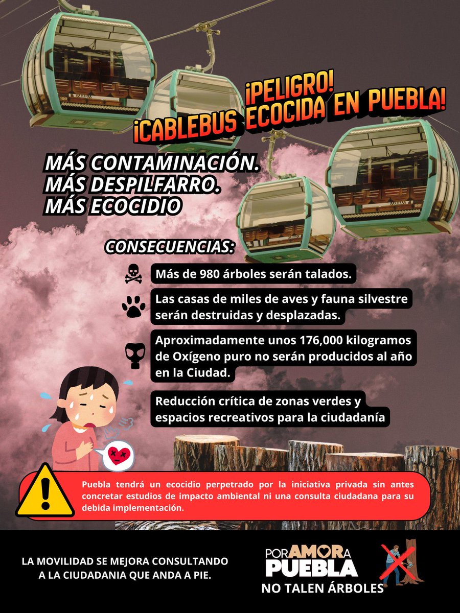 Comienza a escalar el repudio contra el inútil y ecocida #Cablebús que pretende imponer la 4T en Puebla.

Y tienen razón, Puebla no cuenta con muchas áreas verdes y quieren matar casi 1000 árboles para construir un sistema de transporte innecesario. 

#NoAlCablebús.