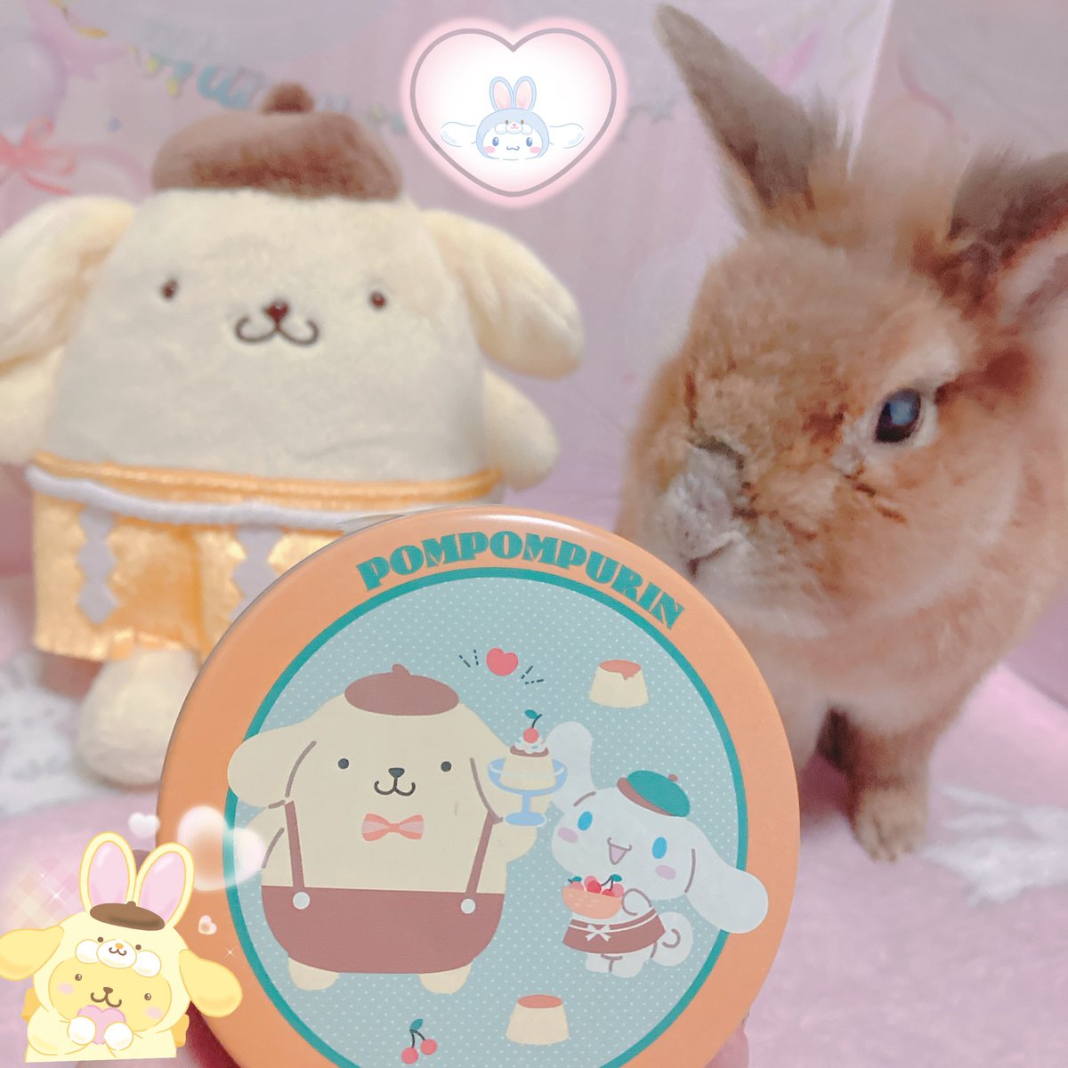 プリンくんとシナモン股下短いわんこコンビかわいいね💛🩵