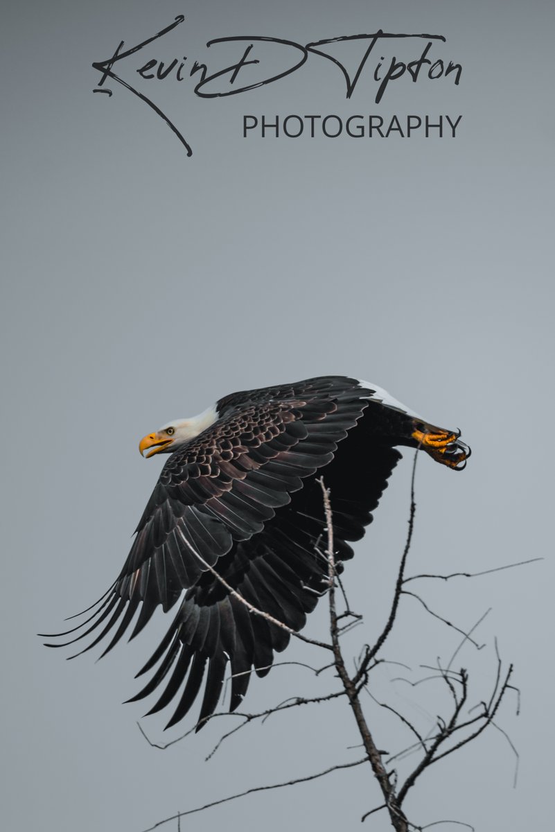 Capt KEVman!!! (GreyBeardAdventures) tweet media