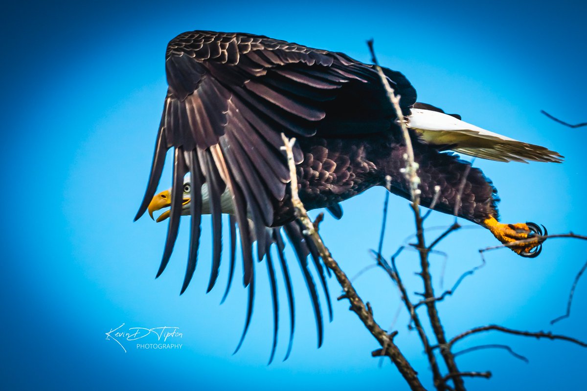 Capt KEVman!!! (GreyBeardAdventures) tweet media