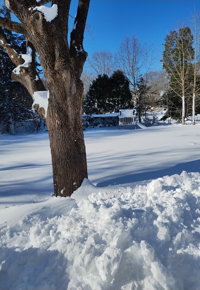 Backyard right here right now. #blizzard