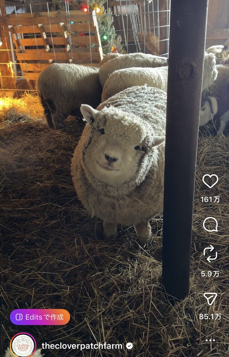 やなこさん tweet media