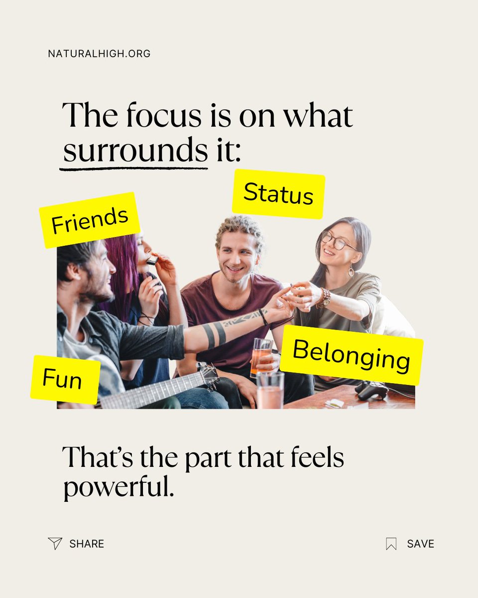 Natural High tweet media