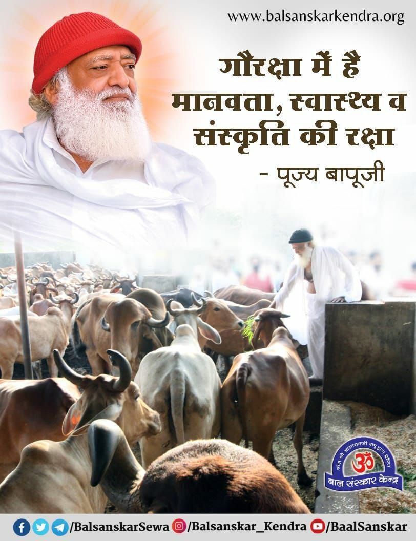 Cultural Heritage 
Gaushala
Gau Raksha Abhiyan तहत बापूजी सबकी गौ सेवा का महत्व बताना चाहते हैं क्योंकि जब तक गाय सुरक्षित नहीं होगी देश सुरक्षित नहीं होगा, इसलिए
#SaveAsharamjiAshram