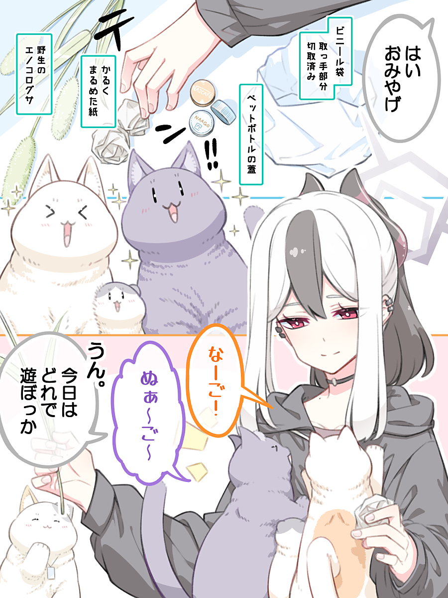 猫マスター #ブルアカ #ブルーアーカイブ #猫先生