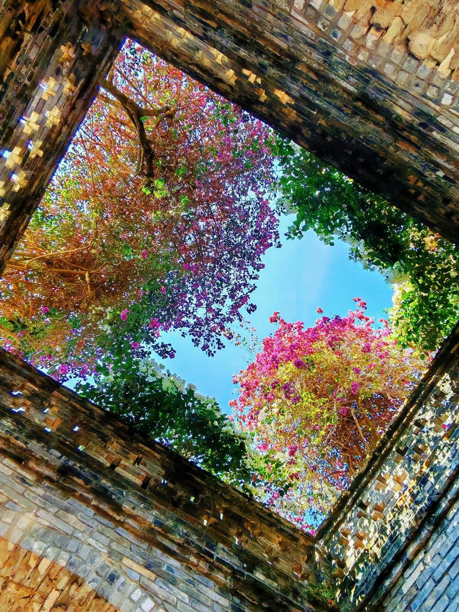 LEGO (@legoaesthetic) on Twitter photo 