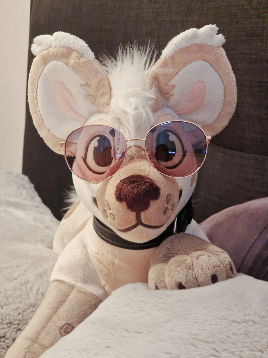 Kitchiki tweet media