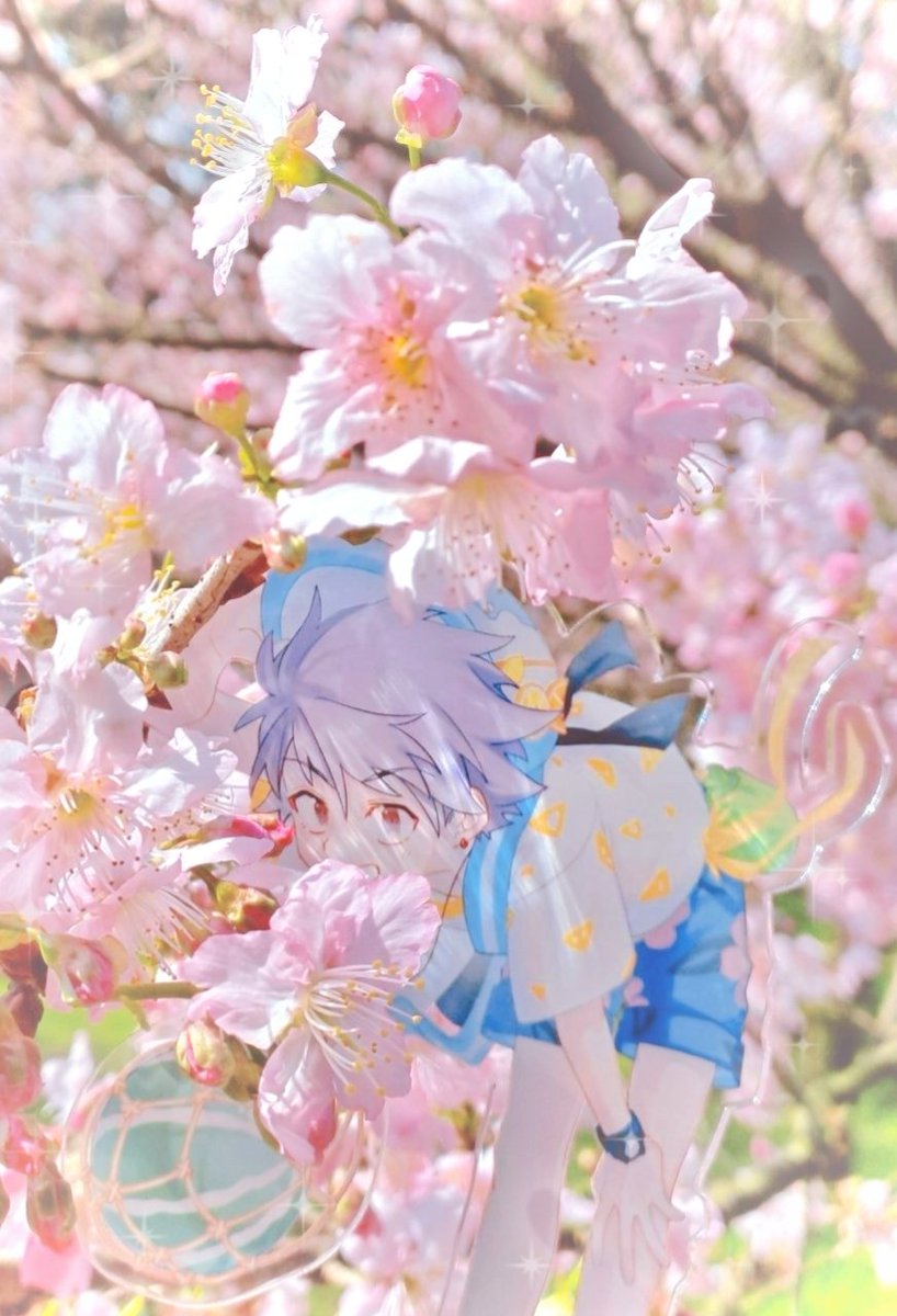 touso_0807's tweet photo. トムヤムくんとお花見～！🌸 https://t.co/y7kMBRugCM