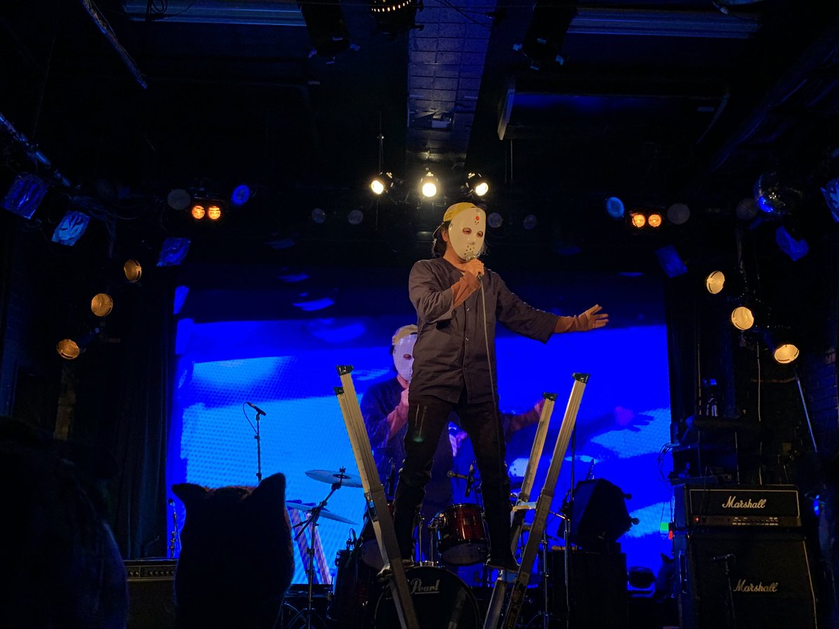 山田デンドロビウム 精神霊園  D.B tweet media