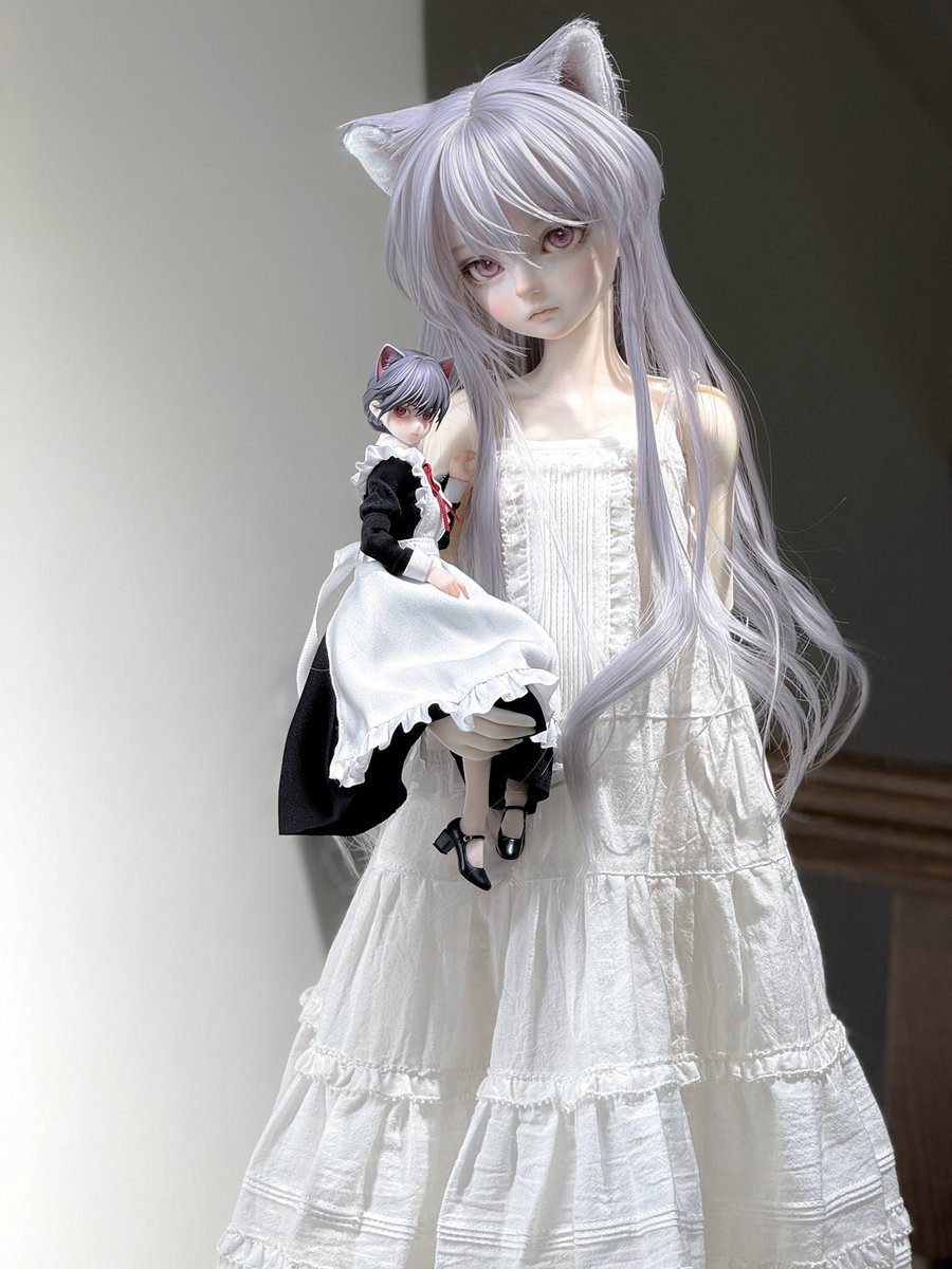 TEIJI🌹 (@TEIJI747) / Posts / X