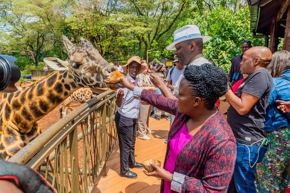 Zuri Events tweet media