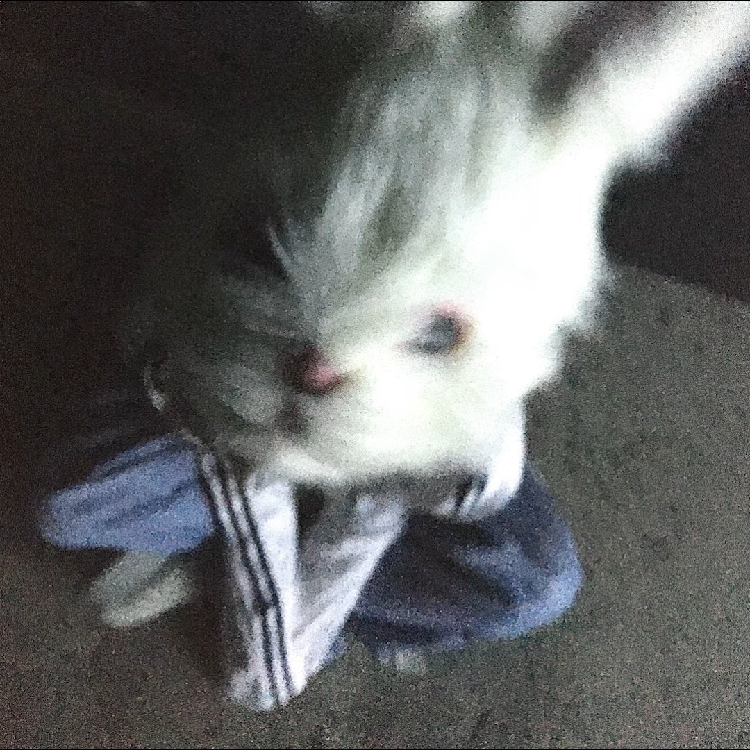 아블래 커버 다른걸루 올라왔네?ㅎㅎ

youtu.be/xRiTdM4LJwk?si…