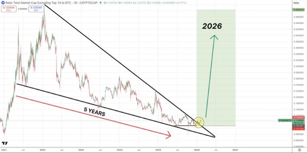 Shib Spain tweet media