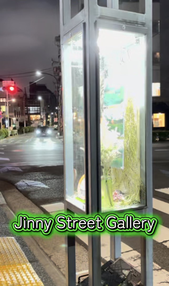 Street Girls Snap tweet media