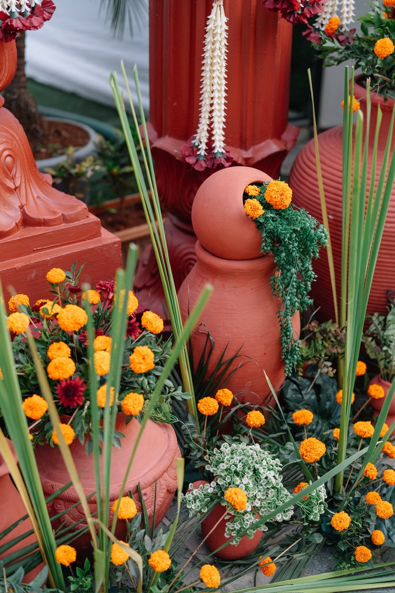 Adyasha Padhy tweet media