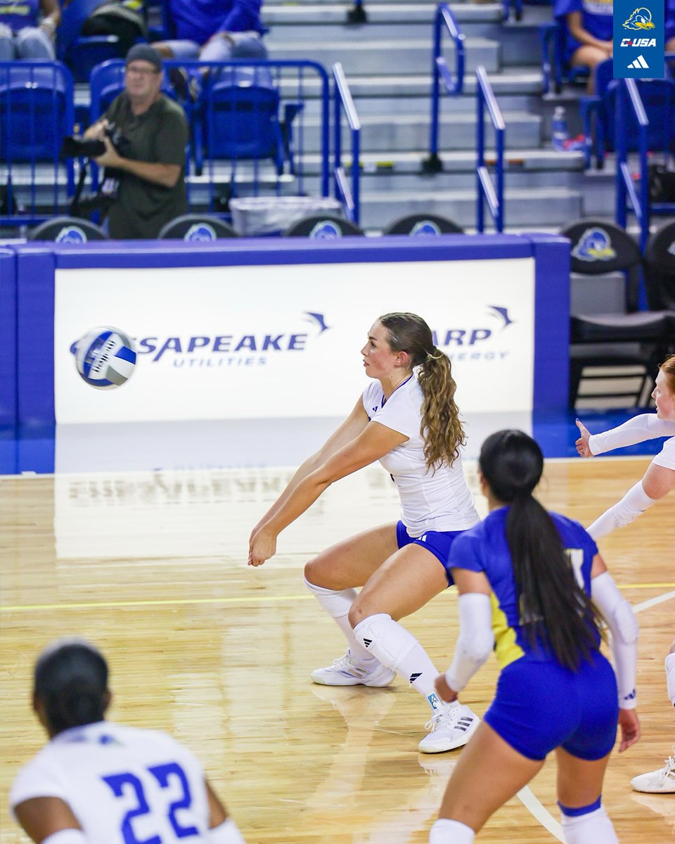 Delaware Volleyball tweet media