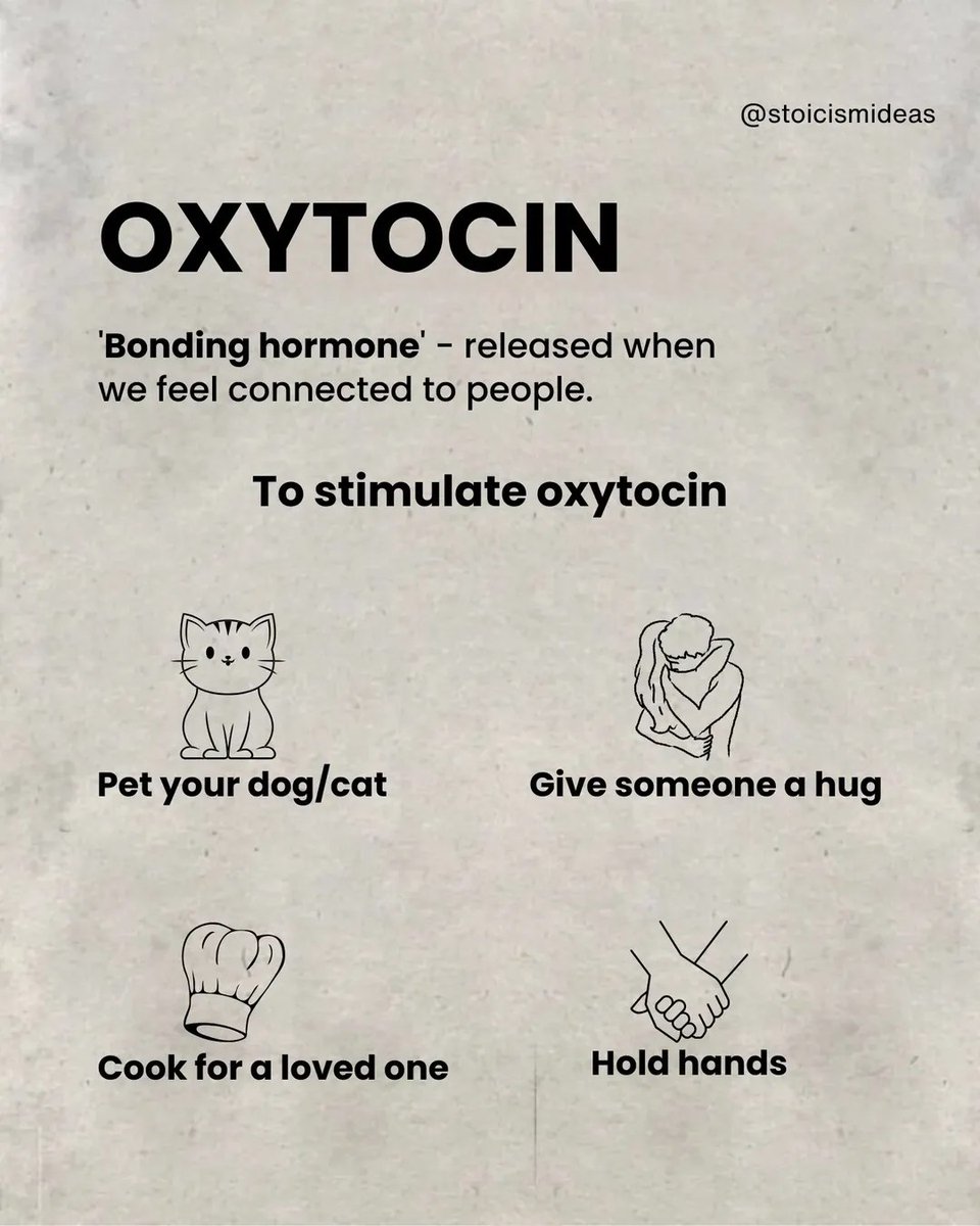 Wisdom Stoics tweet media