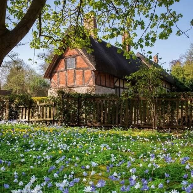 Cutest Cottages🏡🫖🪻 tweet media