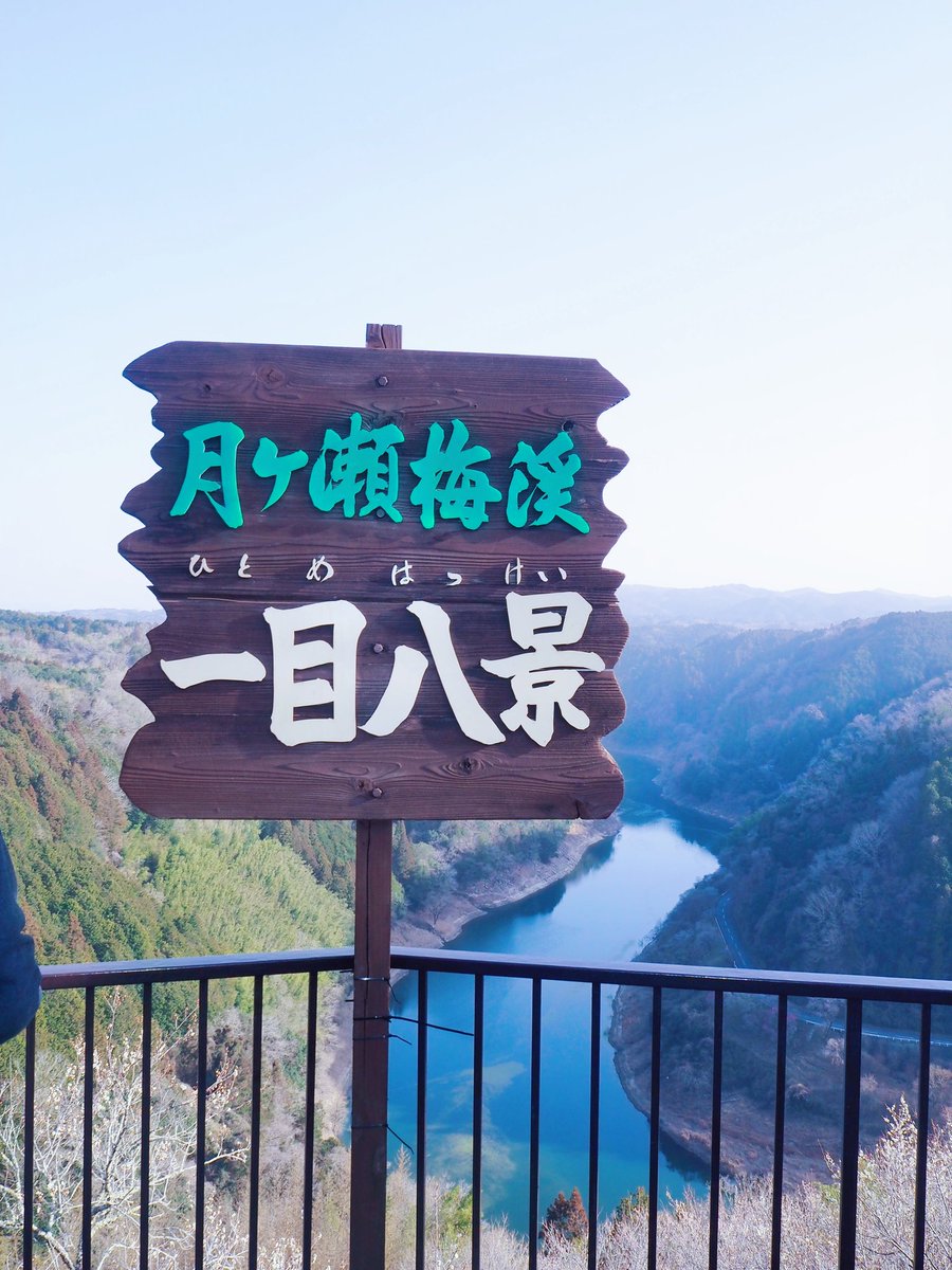 chronometer0's tweet photo. #月ヶ瀬梅渓🌸 #梅まつり

梅林が一面に広がってる景色をイメージしながら着いてみたら・・・

かなりの渓谷で、ほぼ登山でした⛰️

うぐいす茶と梅もちget💚

蝋梅が好き🫶

#急勾配 #梅ソフトクリーム🍦
#うまうまペロリン🤤 https://t.co/nZjE0Ku320