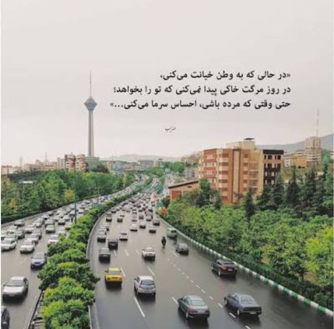 فاطمه حسنی tweet media